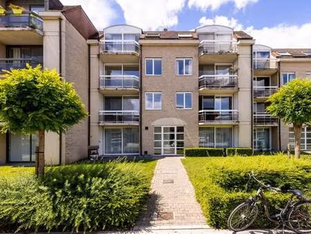 appartement à louer à lier € 975 (lp9w4) - avanti vastgoed | zimmo