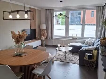 appartement meublé 1 chambre à namur avec jardin (45)