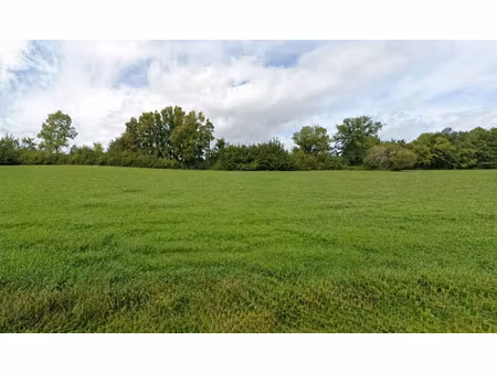 vente terrain 1500 m² à milhac-de-nontron (24470)  15 000 €