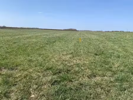 vente terrain 620 m² à moléans (28200)  25 000 €