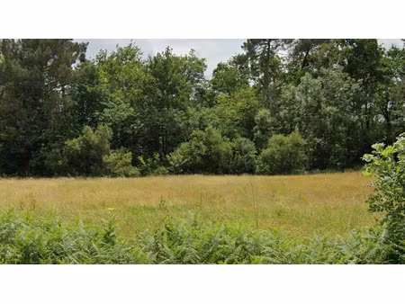 vente terrain 1284 m² à coursac (24430)  35 000 €