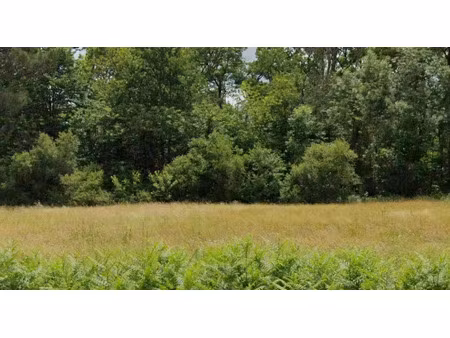 vente terrain 1570 m² à coursac (24430)  35 000 €