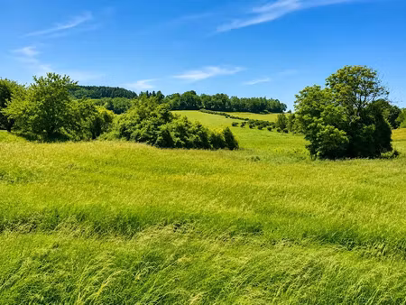 vente terrain 3500 m² à léguillac-de-l'auche (24110)  38 000 €