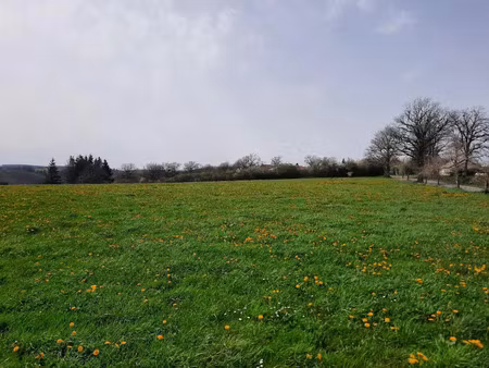vente terrain 1500 m² à roannes-saint-mary (15220)  42 000 €