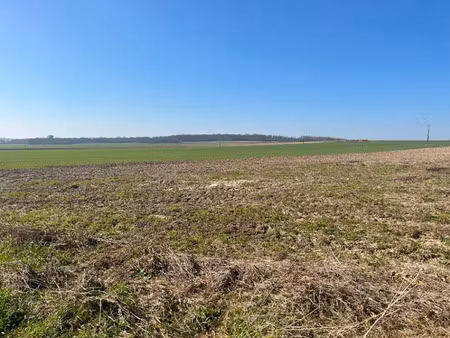vente terrain 468 m² à haute-avesnes (62144)  62 000 €