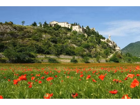 vente locaux professionnels 20 pièces 12000 m² à albi (81000)  897 000 €