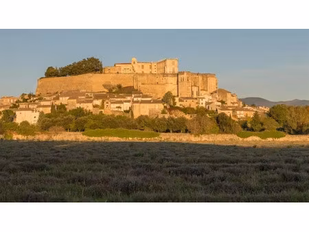 vente locaux professionnels 30 pièces 1060 m² à valence (26000)  1 295 000 €