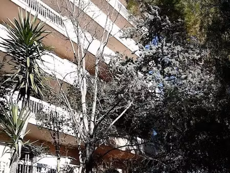 location appartement 2 pièces 28 m² à montpellier (34000)  800 €
