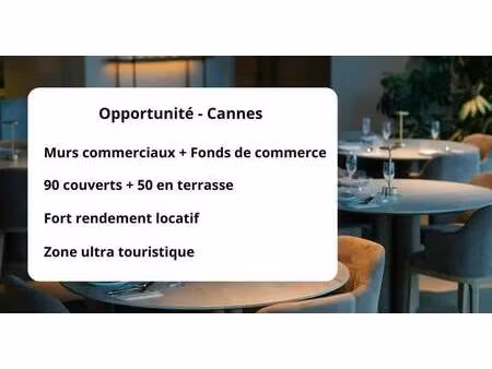 vente commerce cannes 06400 150m²