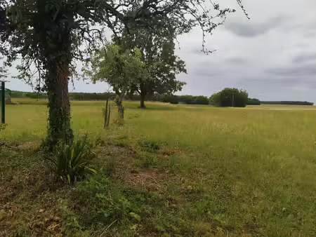 maison de campagne à beauce la romaine (41240)