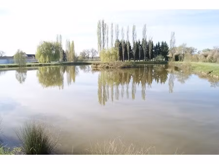 etang de 4300 m2 à vendre domerat (03) sur terrain de 18627 m2