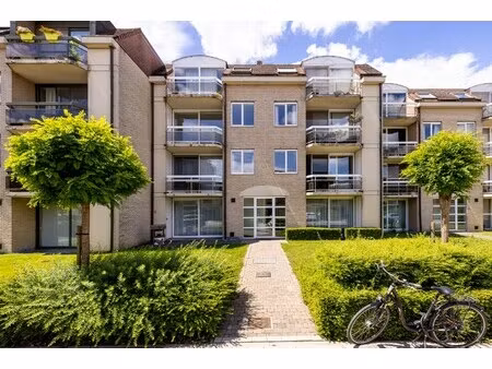 appartement te huur in lier met 2 slaapkamers