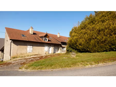 grande maison de village proche vosges