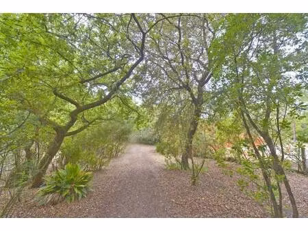 terrain - 400m ²