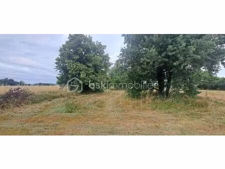 terrain avec dépendance