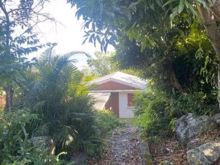 a vendre - terrain saint-paul de 1012 m2 dont 910 m2 constructible -vue sur mer - bois rou