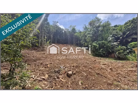 vente terrain 1301 m² rivière-salée (97215)
