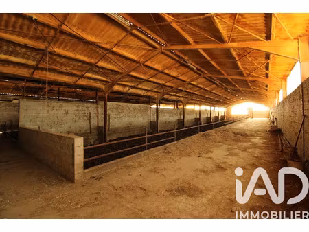 vente ferme 1 pièce 3300 m² à cazals (82140)  267 000 €