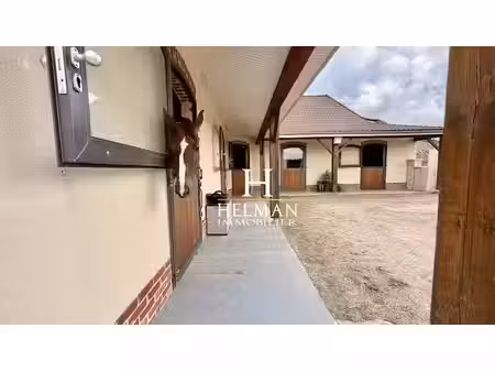 vente maison 7 pièces 185 m² à westrehem (62960)  395 000 €