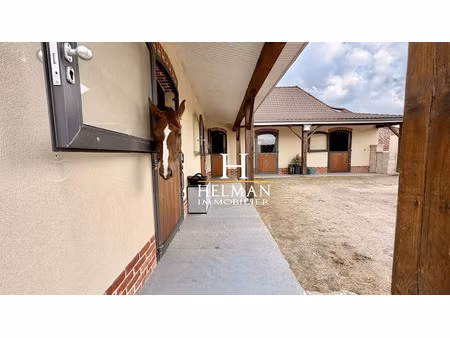 vente maison 7 pièces 185 m² à westrehem (62960)  415 000 €