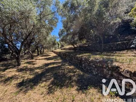 vente terrain piscine à grasse (06130) : à vendre piscine / 1049m² grasse