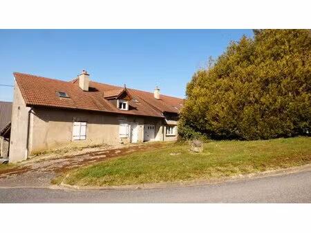 grande maison de village proche vosges