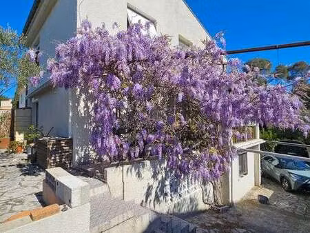 location appartement t1 meublé à montpellier (34000) : à louer t1 meublé / 15m² montpellie