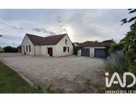 maison à saint-laurent-nouan (41220)