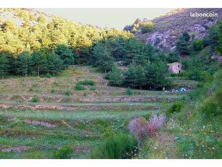vente terrain et bergerie