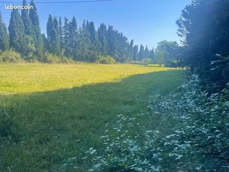 terrain pour chevaux