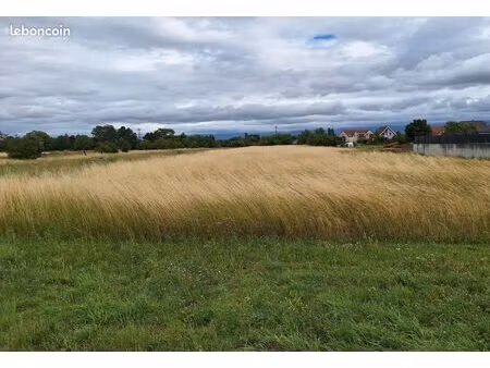 parcelle constructible de 10 44 ares à blodelsheim (68740)