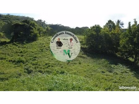 terrain 1 241 m² le vauclin
