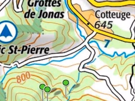 6400m2 bois feuillus 3 parcelles saint diery 63320