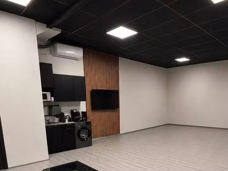loft / atelier réhabilité – 66 m²