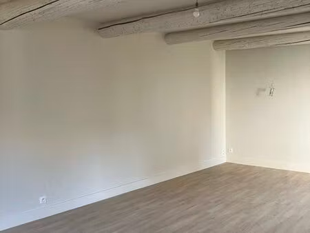 beau t3 lumineux  beaux volumes  non meublé