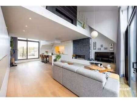 appartement en duplex lumineux avec mezzanine et grande terr