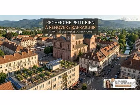 petit appartement à rénover/à raffraichir– saint-dié-des-vosges