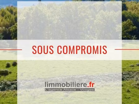terrain 9 050 m² taintrux