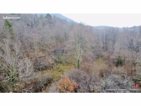 terrain 39 987 m² saint die des vosges