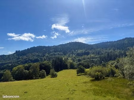 terrain en zone 1au 12000m2env