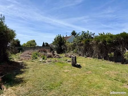 terrain maisse