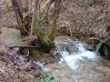 terrain boisé en pente 6130m² bordé par un ruisseau