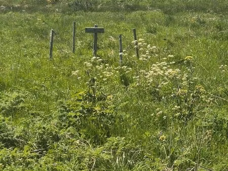 terrain constructible