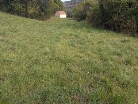 terrain constructible