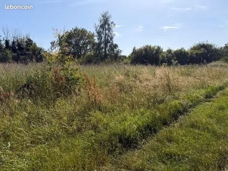 terrain agricole marcousis