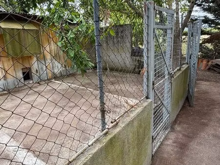 petit bâtiment en nature de garage
