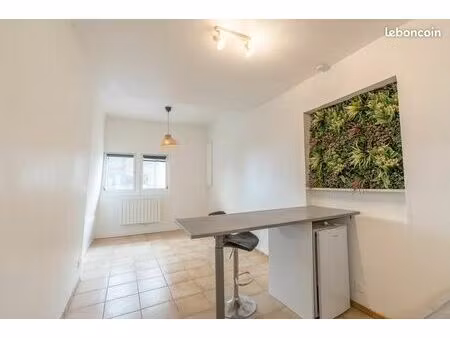 studio 1 pièce 20 m²