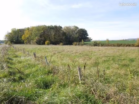 terrain 5140 m² ervy-le-châtel