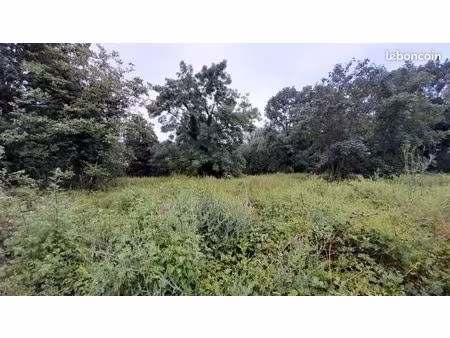 terrain 1 666 m² gif sur yvette