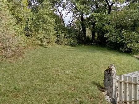terrain arboré